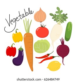 vegetable vector