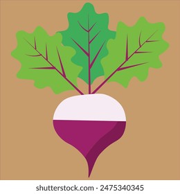 vegetable vector art free download