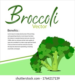 Vegetable vector - Broccoli with its benefits template