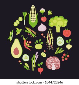 Vegetable vector circle background. Modern flat design. Healthy food background. Organic vegetables. Vegetarian concept.