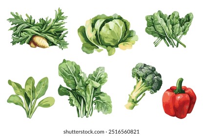 Elementos vetoriais vegetais, ilustração de aquarela vegetal isolada sobre fundo branco