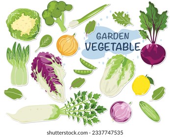 Vegetable vector icon illustration set. Vegetable illustration in cute colors for farm product design. Vegetarian shop. Market sign.