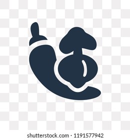 Vegetable vector icon isolated on transparent background, Vegetable transparency concept can be used web and mobile