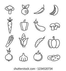 Vegetable vector icon set in flat design on white background. Vegetable linear icon set