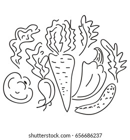 Vegetable. Vector illustration.