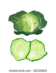 Vegetable, Vector Illustration of Delicious Fresh Green Savoy Cabbage and Slice Savoy Cabbage Isolated on White Background. 