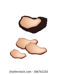 Vegetable, Vector Illustration of Half and Slice Black Truffle Mushrooms or Lentinula Edodes Mushrooms Isolated on A White Background. 