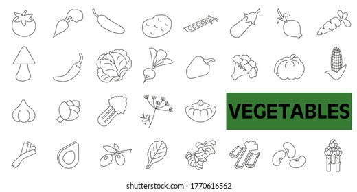 Vegetable vector illustration in hand drawn style isolated on white background