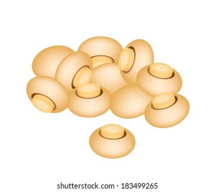 Vegetable, Vector Illustration of A Pile of Champignons or Chestnut Mushrooms Isolated on A White Background. 