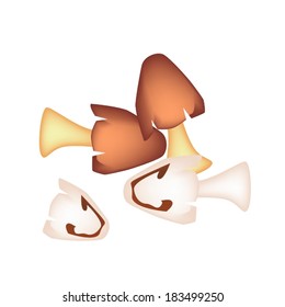 Vegetable, Vector Illustration of A Pile of Straw Mushrooms on Brown Straw Isolated on A White Background. 