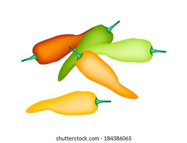 Vegetable, Vector Illustration Stack of Various Fresh Sweet Peppers in Red, Green, Orange and Yellow Colors Isolated on White Background. 