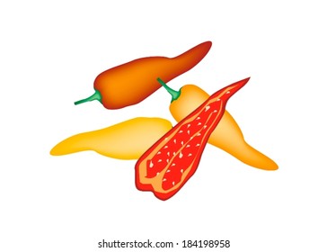 Vegetable, Vector Illustration Stack of Whole and Half Sweet Peppers in Red and Yellow Colors Isolated on White Background. 