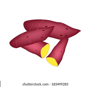 Vegetable, Vector Illustration of Whole and Halved of Purple Sweet Potatoes Isolated on White Background. 