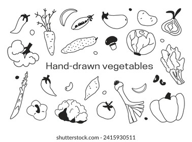 Gemüsegarantie Vektorgrafiken im handgezeichneten Cartoon-Stil einzeln auf weißem Hintergrund. Doodle-Veggies Broccoli, Auberginen, Zwiebeln, Gurken, Spinat, Kohl