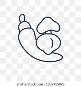 Vegetable vector outline icon isolated on transparent background, high quality linear Vegetable transparency concept can be used web and mobile