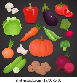 Vegetable vector realistic icon set. 