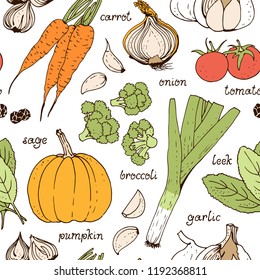 Vegetable vector seamless pattern, hand drawn food background with: tomato, carrot, pumpkin, onion, broccoli, leek, garlic, herbs