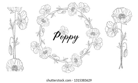 Vegetable vector set of flower of poppy. Round frame
