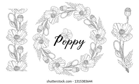 Vegetable vector set of flower of poppy. Round frame