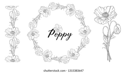 Vegetable vector set of flower of poppy. Round frame.