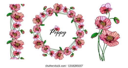 Vegetable vector set of flower of poppy. Round frame. Poppy flowers.