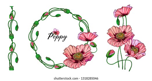 Vegetable vector set of flower of poppy. Round frame. Poppy flowers.