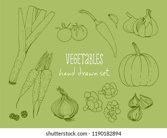 Vegetable vector set, hand drawn food background with: tomato, carrot, pumpkin, onion, broccoli, leek, garlic, chili pepper, herbs on green