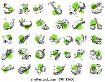 Vegetable vector Set. Hand drawn collection isolated on white. Eggplant, onion, asparagus, zucchini, champignon, peas, corn, cucumber, garlic, pepper, paprika, radish