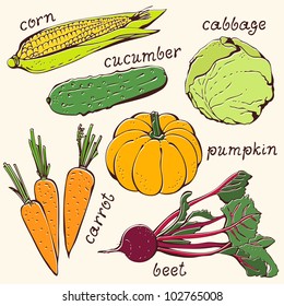 Vegetable vegetarian set on a beige background