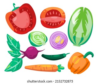 Vegetable veggies collection set illustration sliced tomatoes beets onion carrot cabbage chili and paprica