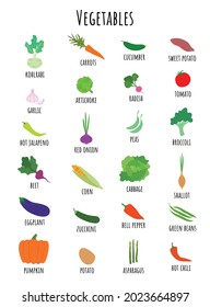 Vegetable vocabulary set. Collection of the clip art vegetables with signatures. Vector illustration of harvest