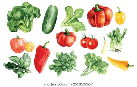 Vegetable Watercolor Illustration isolated on white background