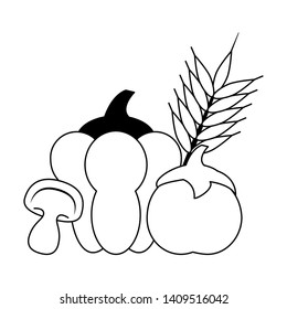 vegetable and wheat ear pepper tomato mushroom icon cartoon vector illustration graphic design