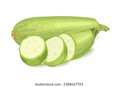 Vegetable zucchini. Cut slices. Vector illustration on white background