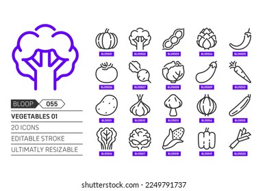 Vegetables 01 related, pixel perfect, editable stroke, up scalable, line, vector bloop icon set. 