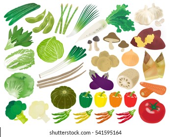 Vegetables