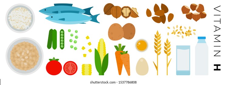 Vegetables and Animal Products with vitamin H vector flat icons set with tuna fish, carrot, potatoes, dairy, almond, oatmeal, corn, rice. Isolated on white background.