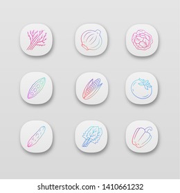 Vegetables app icons set. Cabbage, beet, corn, tomato, pepper. Vitamin and diet. Healthy nutrition. UI/UX user interface. Web or mobile applications. Vector isolated illustrations