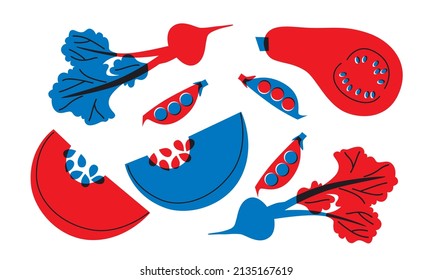 Vegetables appetizing set vector illustration. Abstract vegetables red, blue print. Funny typography poster, apparel print design, menu. Minimalist art for logo, posters, wall art, healthy concept.