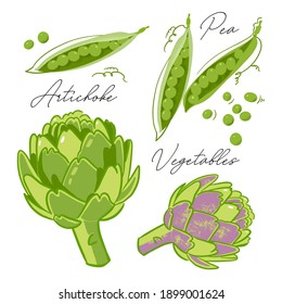 Verduras, alcachofa, guisantes, elementos para el menú, patrones, fondos, etiquetas, empaque, diseño, pancartas, volantes, decoración artesanal. Doodles, gráficos, boceto, ilustración vectorial.