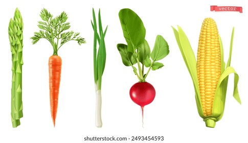 Vegetables, asparagus, carrot, radish, onion, corn, 3d realistic vector set