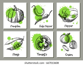 Vegetables background set. Templates for label design with hand drawn elements. Can be used for vegan products, brochures, banner, restaurant menu, farmers market and organic food 