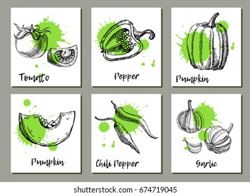Vegetables background set. Templates for label design with hand drawn elements. Can be used for vegan products, brochures, banner, restaurant menu, farmers market and organic food 