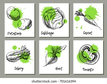 Vegetables background set. Templates for label design with hand drawn elements. Can be used for vegan products, brochures, banner, restaurant menu, farmers market and organic food 