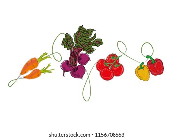 vegetables. Background for your design works. isolated vegetables. Vector illustration.