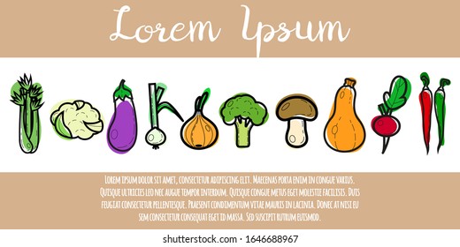 Vegetables banner, vector illustration.Garden, vegetable garden, organic vegetables food. Celery, cauliflower, eggplant, green onion, onion, broccoli, mushroom, pumpkin, radish, hot pepper.