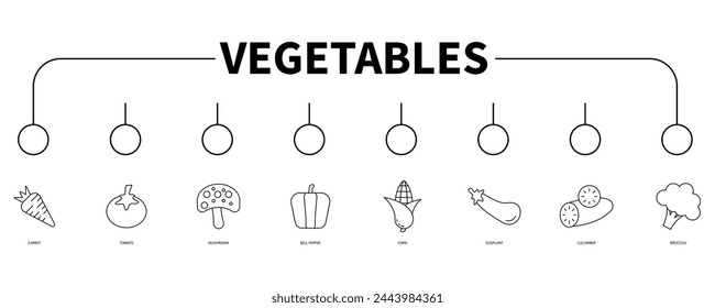 Vegetables banner web icon vector illustration concept