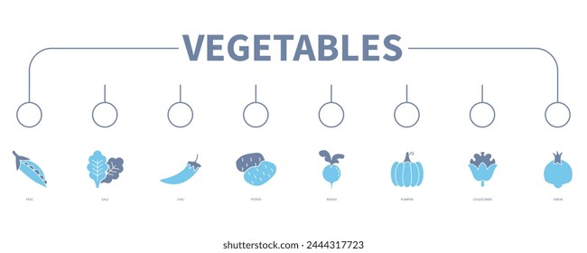 Vegetables banner web icon vector illustration concept