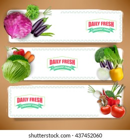 Vegetables banners and vegetables background.Vector