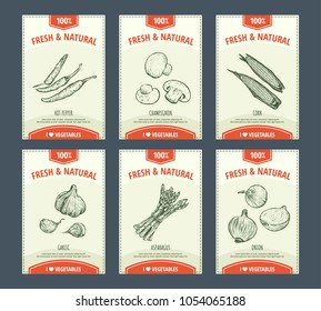 Vegetables banners set. Hand drawn  fresh and natural vegetables. Template for your design works. Vector illustration.